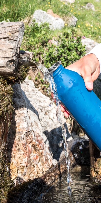 Drinking water Rosengarten Hirzelsteig path | © Carezza Dolomites/Thomas Monsorno
