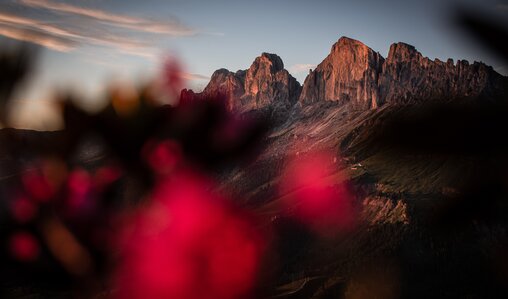 Catinaccio rose alpine Enrosadira | © Alexandra Näckler