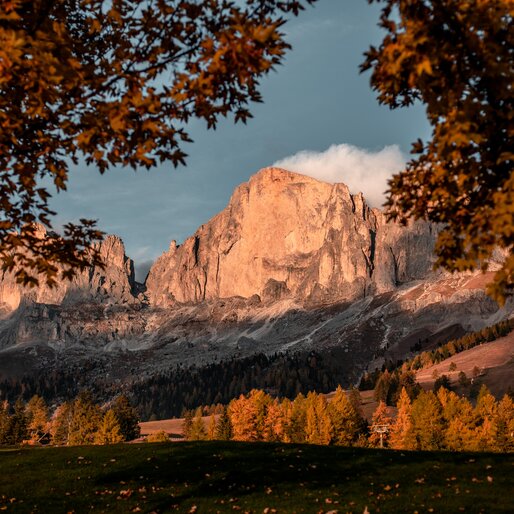 Catinaccio illuminato di rosso alberi in manto autunnale | © Gabriel Eisath