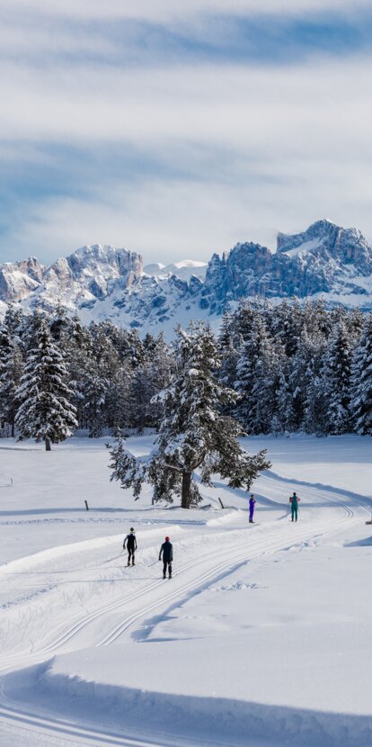 Langlaufen Deutschnofen verschneiter Rosengarten | © Clicktext